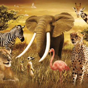 Heuer Postkarte 3D Afrikanische Tiere 8048